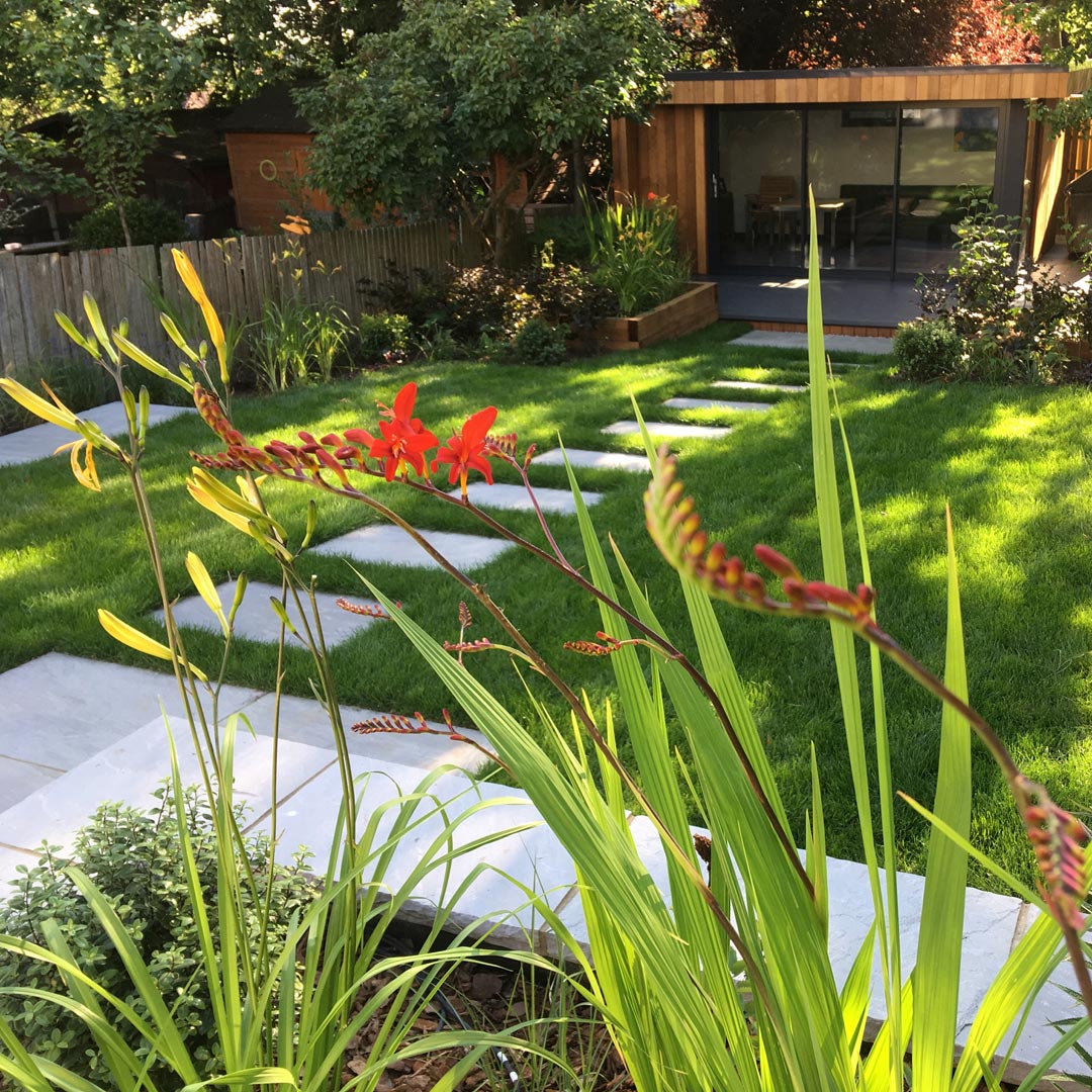 Looking through the Crocosmia ‘Lucifer’ towards the outbuilding and the raised sleeper beds.