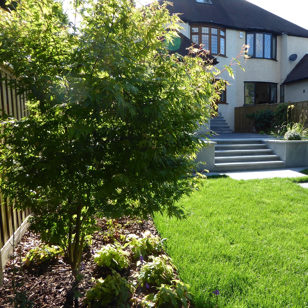 An image taken from behind a focal Acer tree showing the grey riven sandstone steps from a distance.