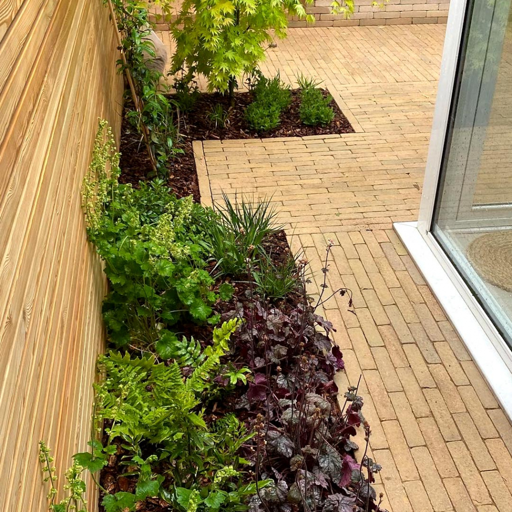 An area of the garden, receiving minimal hours of direct sun requires shade tolerant plants such as Tellima, Athyrium, Luzula and Heuchera