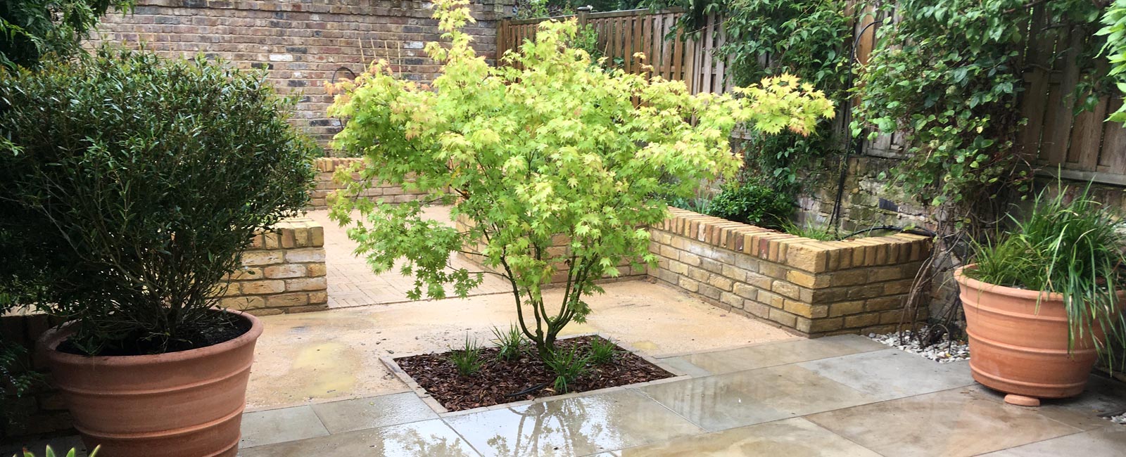 A specimen acer tree focal point and planting in large terracotta pots help to define the different zones.
