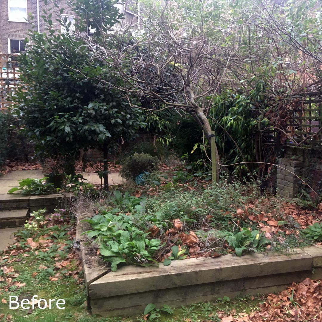 The right side garden was completely neglected and unused and the raised beds were collapsing.