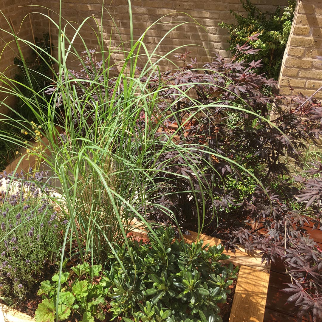 The large oak sleeper retaining bed on the upper level is full of eye catching plants that are easy to maintain.