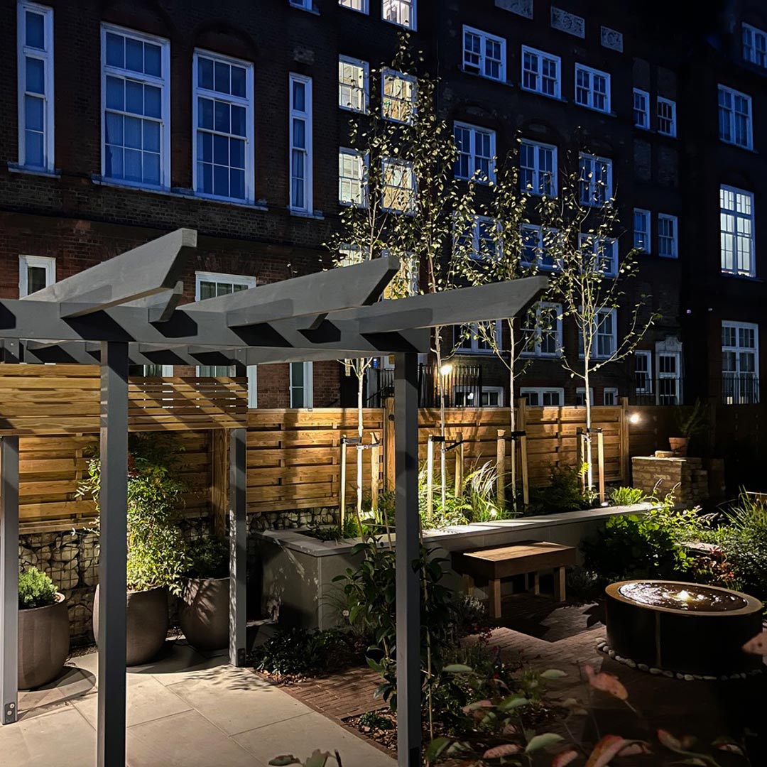 Silver birch trees lit up at night with uplighting spike lights.