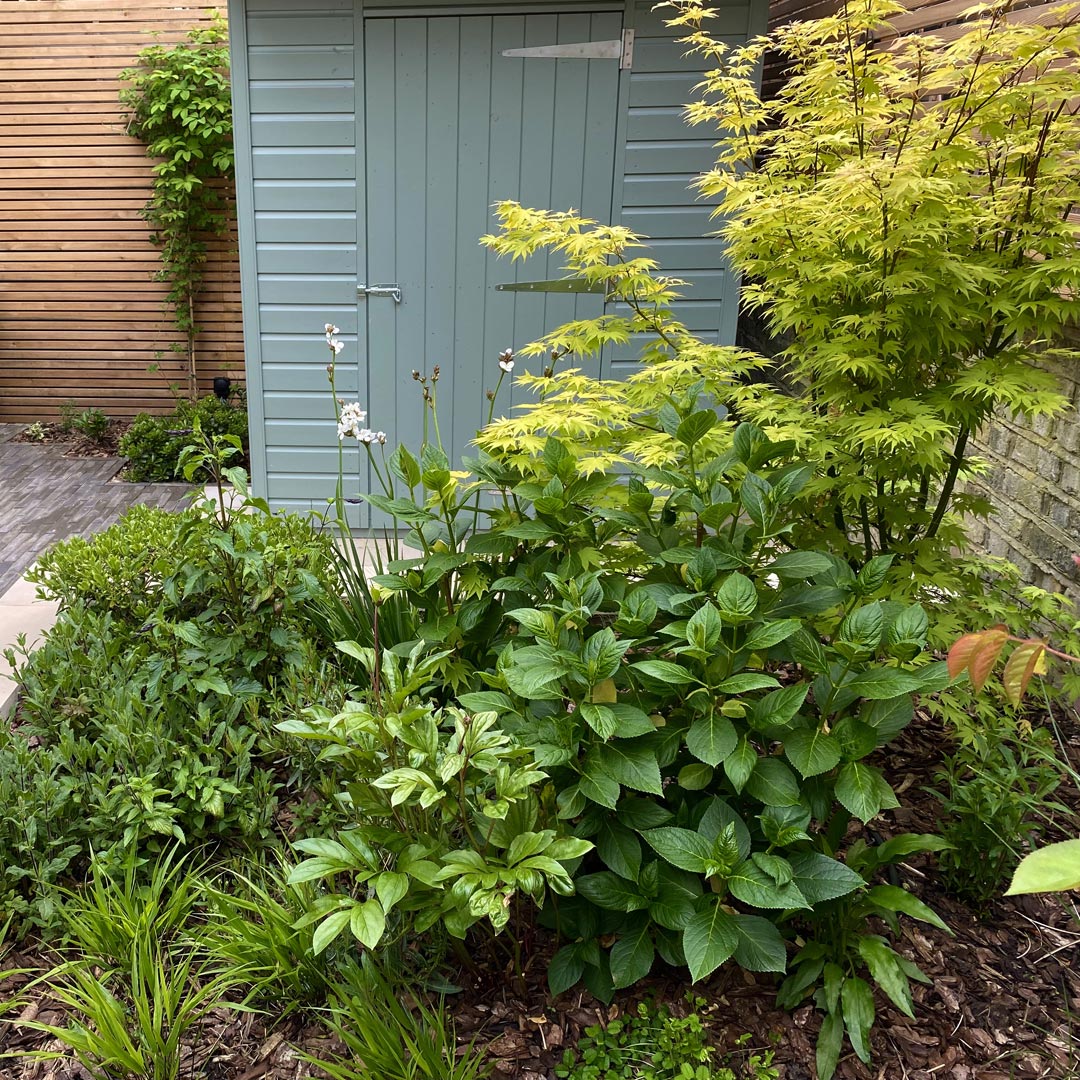 A compact shed by Crane sits neatly in the far corner to store sports equipment.