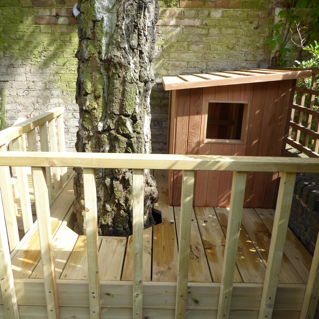 A close-up of the mature Birch tree and the texture of its amazing bark.