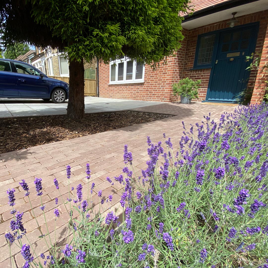 An inviting clay paver path lined with scented lavender planting, leads you to the front door.