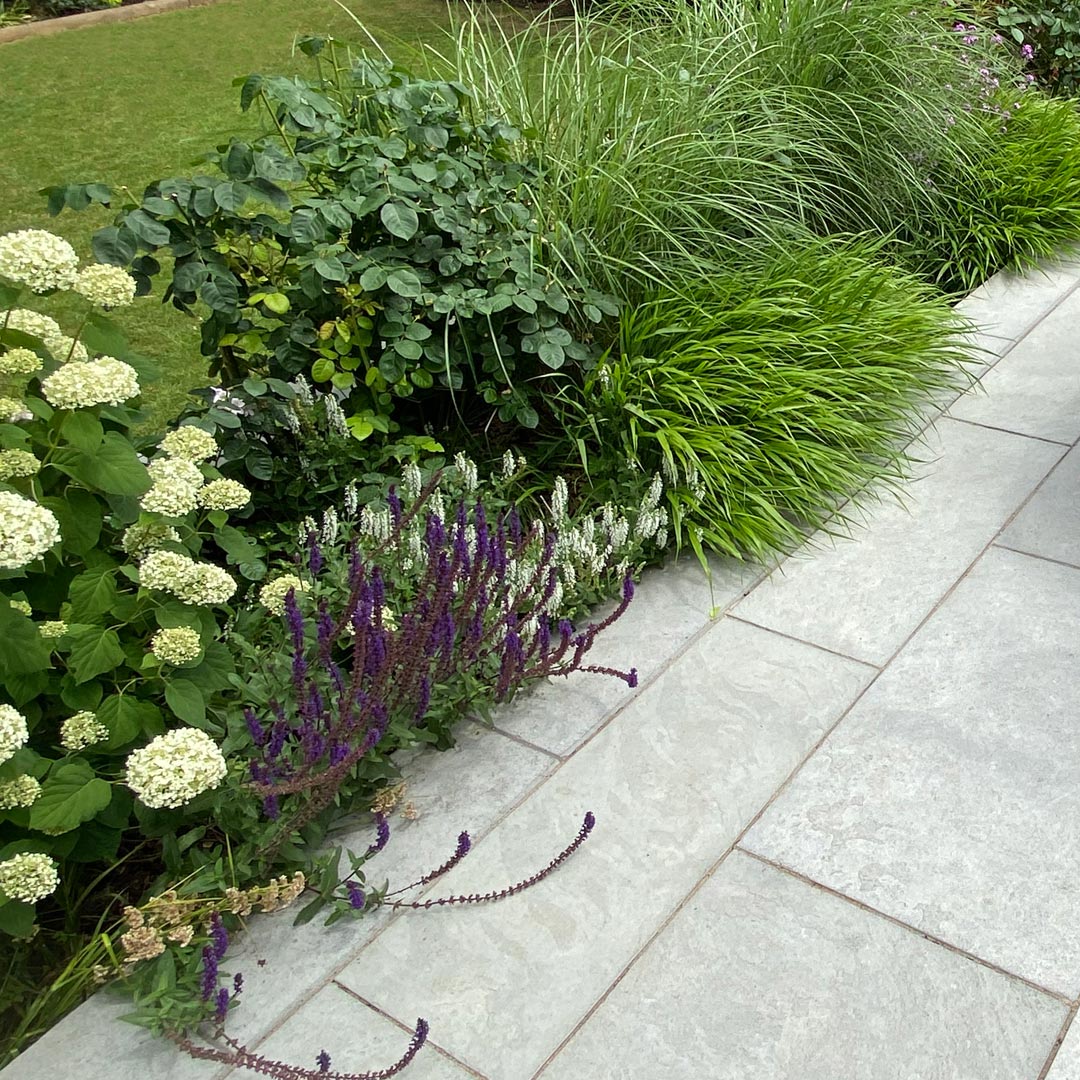 Hakonechloa, Miscanthus, Rosa, Hydrangea and Salvia tumble onto the edge of the patio.