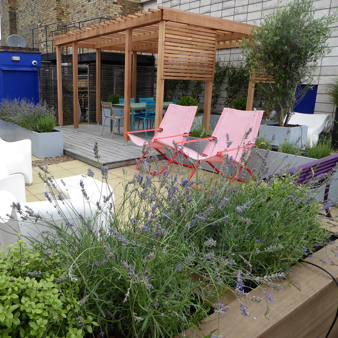 Sycamore_72dpi_1080x1080_03