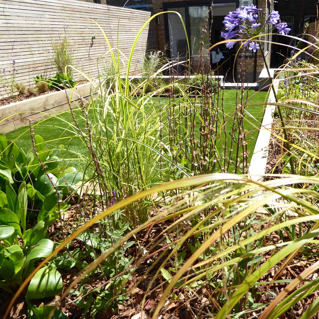 An informal perennial planting scheme with carefully chosen evergreen shrubs for structure.