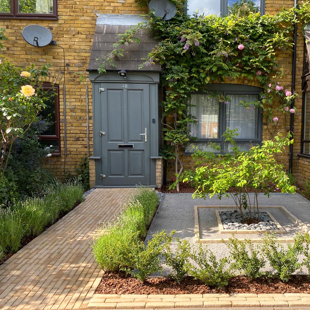 A minimalist uncluttered approach gives this front garden in Barnsbury, Islington a strong visual impact. Lavander lined clay paver path and a multi-stem Amelanchier.