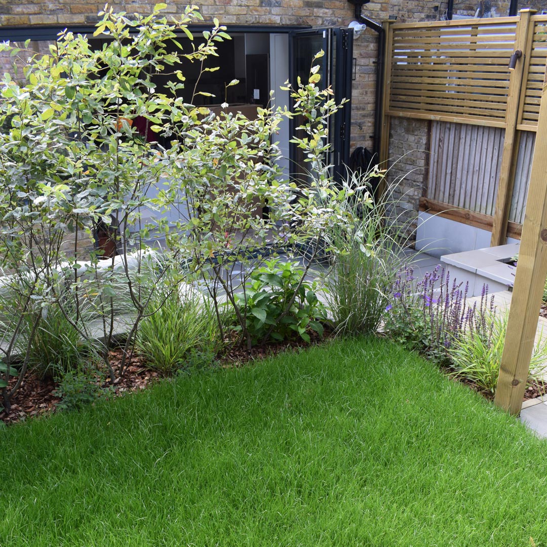 An area of lawn for the client’s dog. The Amelanchier trees partition the space and create an impressive focal screen.
