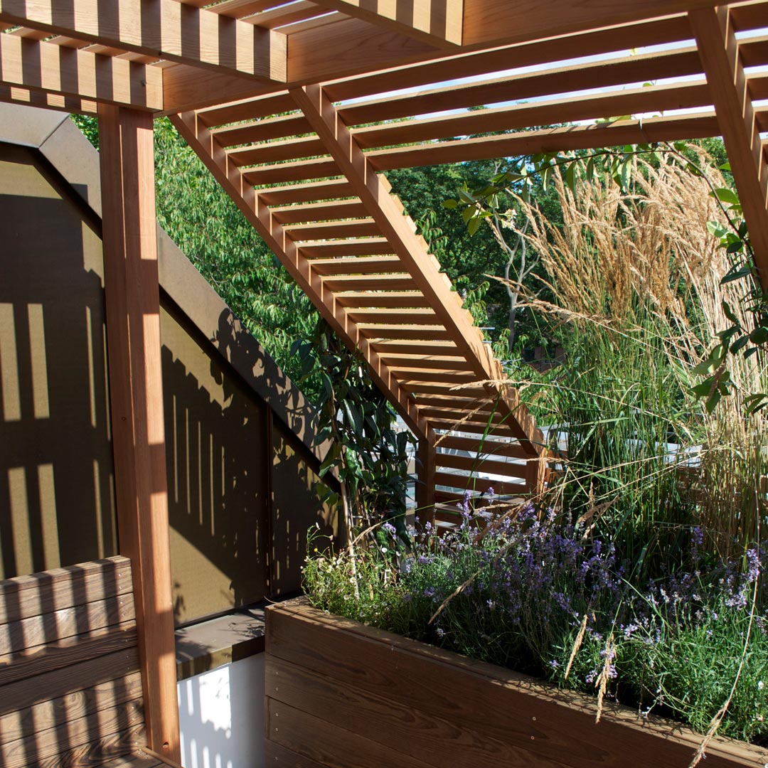 A view from inside the pergola structure showing a planter full of drought-tolerant mediterranean plants.