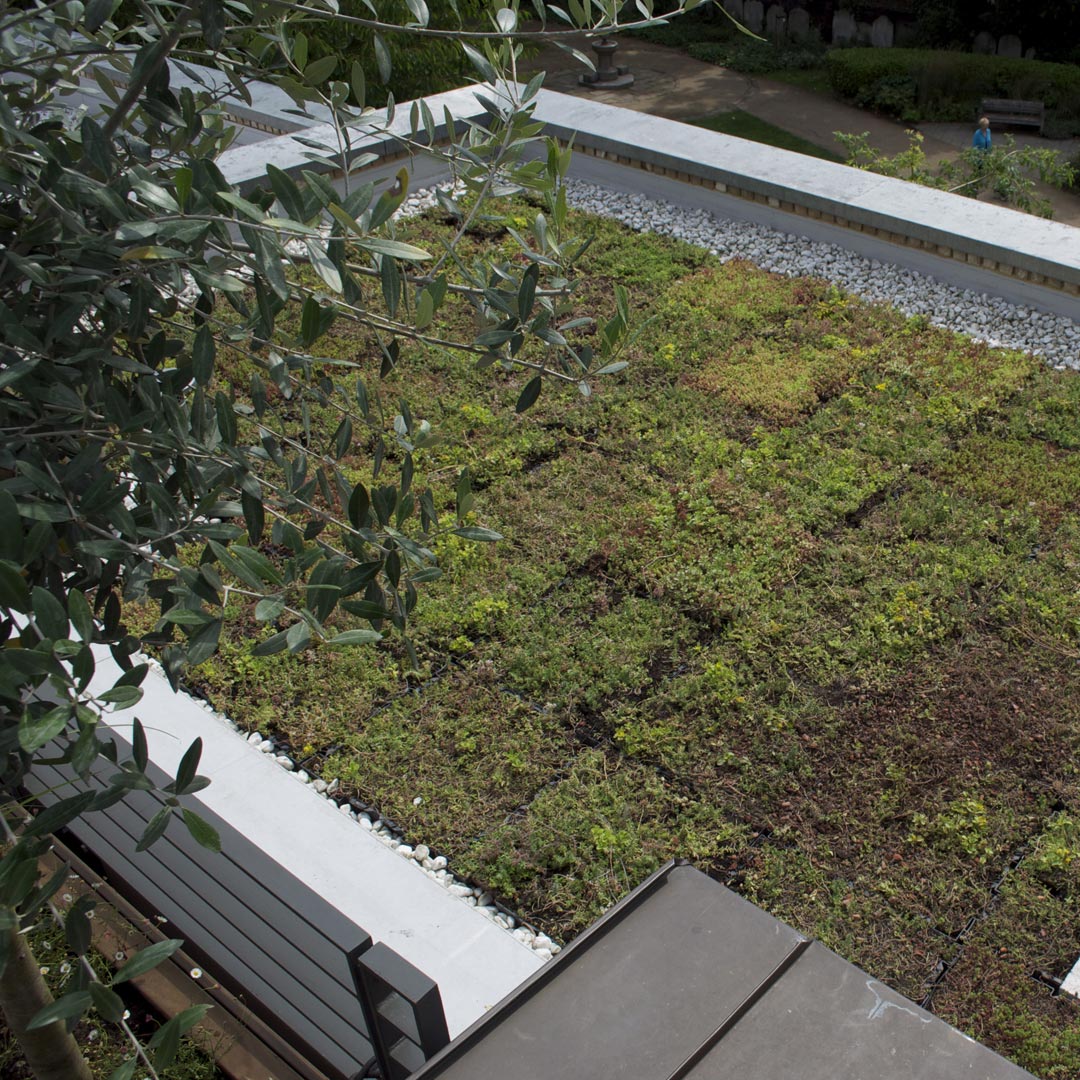 A sedum green roof transforms a void into a tapestry of green.