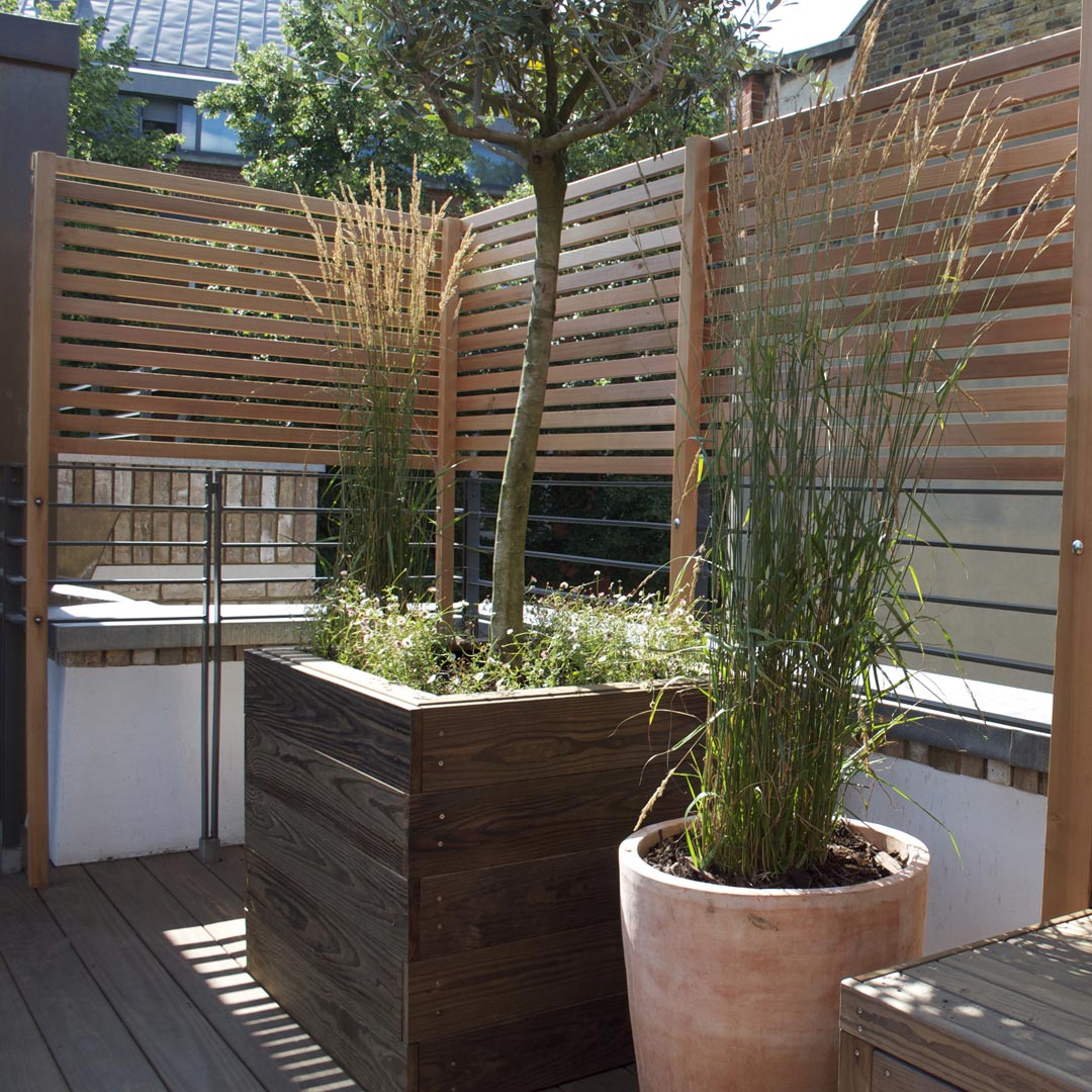 Cedar slatted screening for privacy and specially made planter for sun-loving Olive tree.