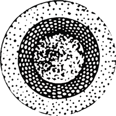 Contact Landspace Design for high-quality landscape gardening services in London, Suffolk, Essex and the UK.