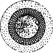 Members of the Association of Professional Landscapers