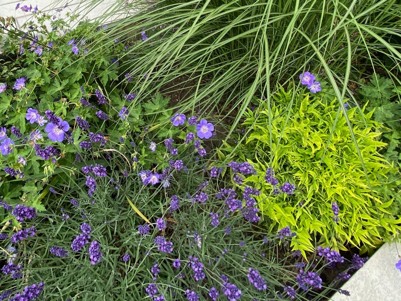 We provide award-winning landscape garden design and construction services, creating beautiful outdoor spaces in which to relax and entertain.