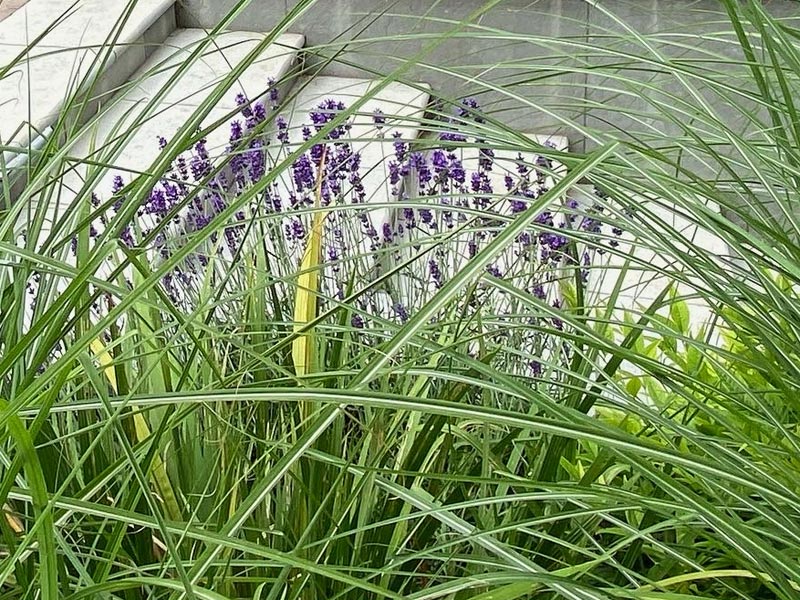 Our award-winning landscape gardeners transform outdoor spaces into beautiful places.