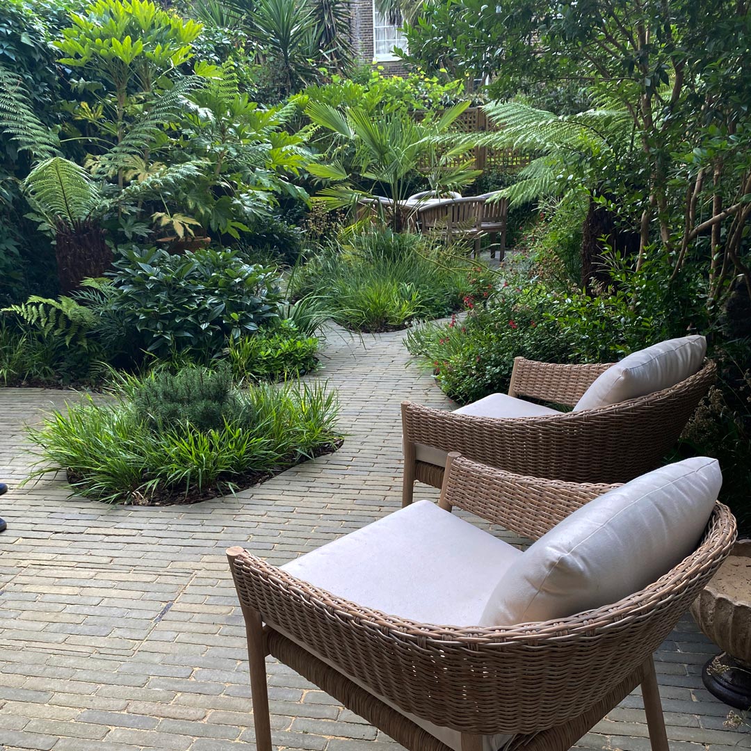 A view from every angle of the garden. Island beds creating the illusion of space. Tree ferns add vertical interest.