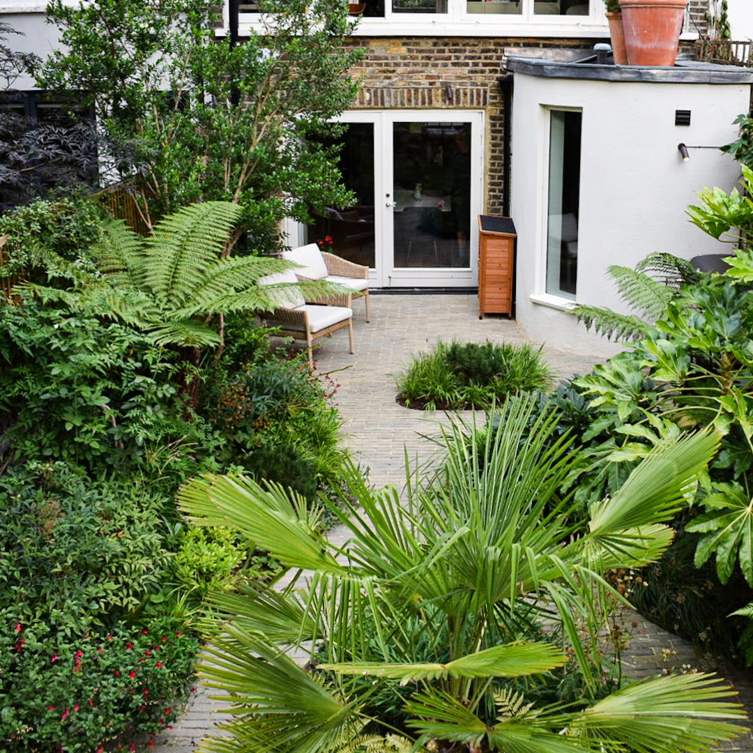 Looking back towards the house the garden design references the curved proportions of the extension.