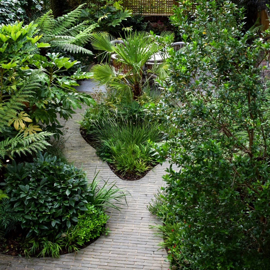 Winding paths and organic shaped beds, make the garden feel larger without obscuring the view.