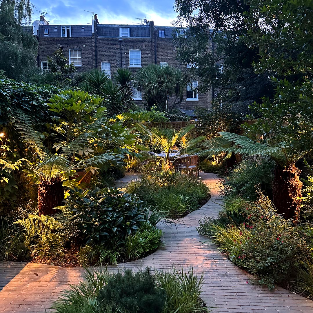 The contrasting leaf textures of the evergreen shrubs and perennials create a visually stimulating space.