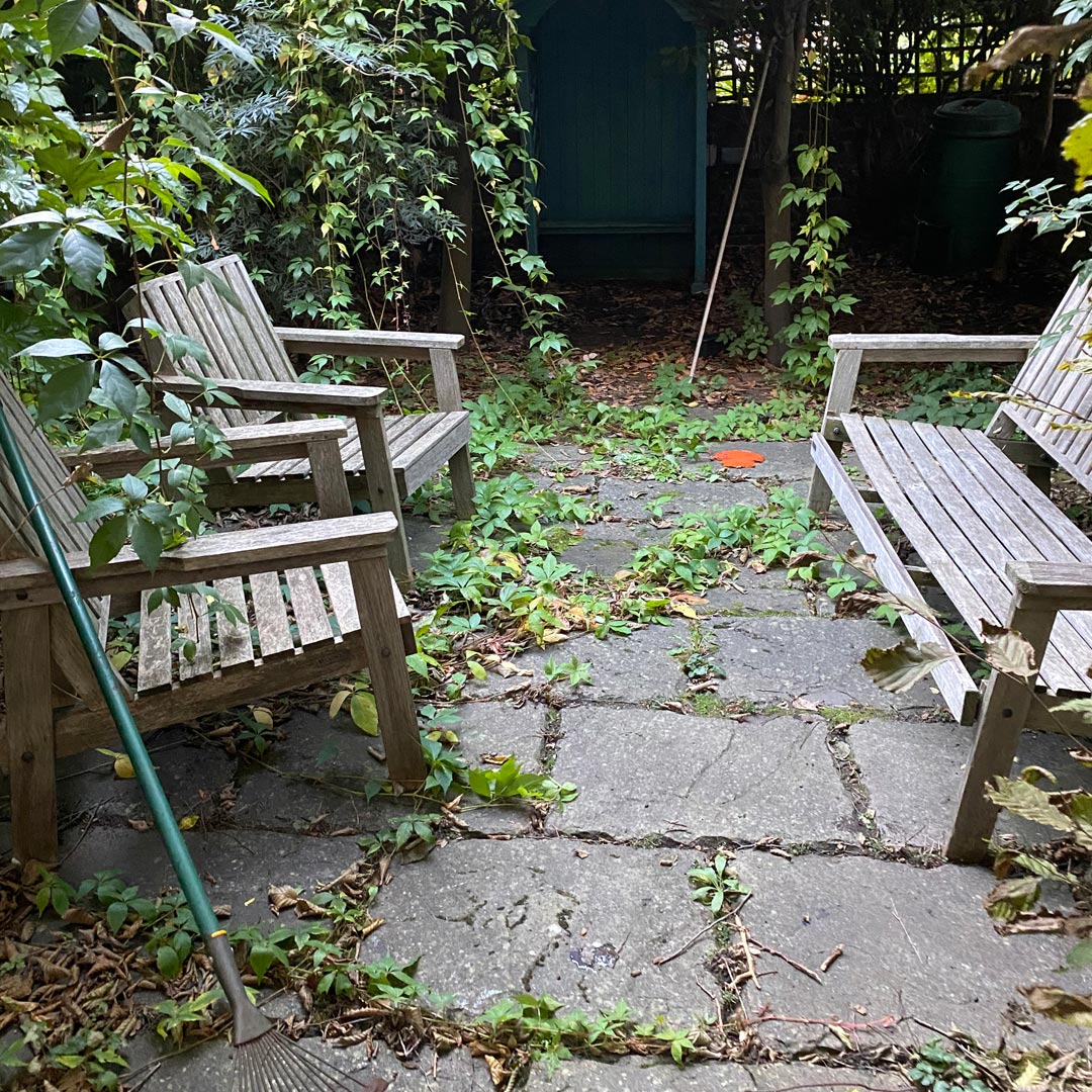 Overgrown with weeds and with no defined spaces for relaxing.