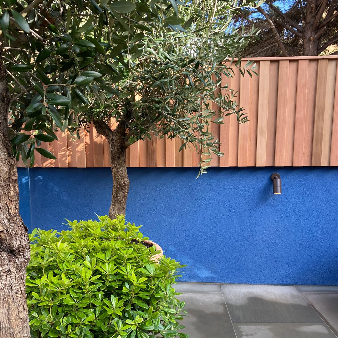 The olive trees, mediterranean blue walls and cedar cladding, elevate this minimalist, functional garden space.